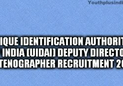 unique-identification-authority-of-india-uidai-deputy-director-stenographer-recruitment-2014